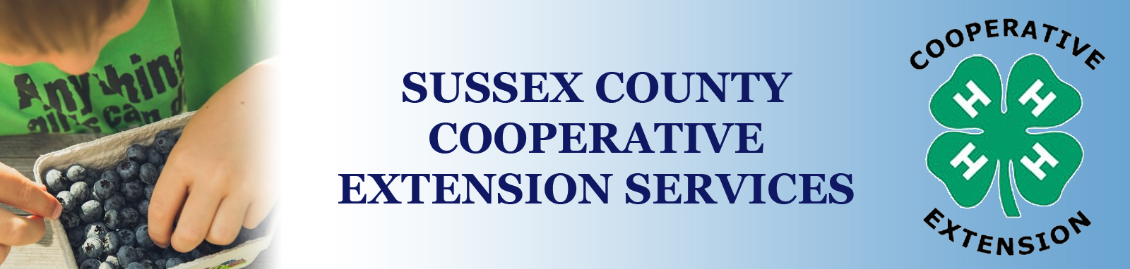Cooperative Extension Services