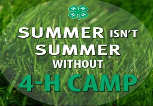 Sign Up for Sussex Junior 4-H Summer Camp: Empowering Leaders of Tomorrow, Today!!!